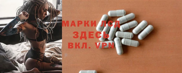 a pvp Аркадак