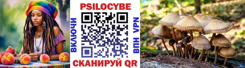 Псилоцибиновые грибы Cubensis  Купить закладки  Богородск 